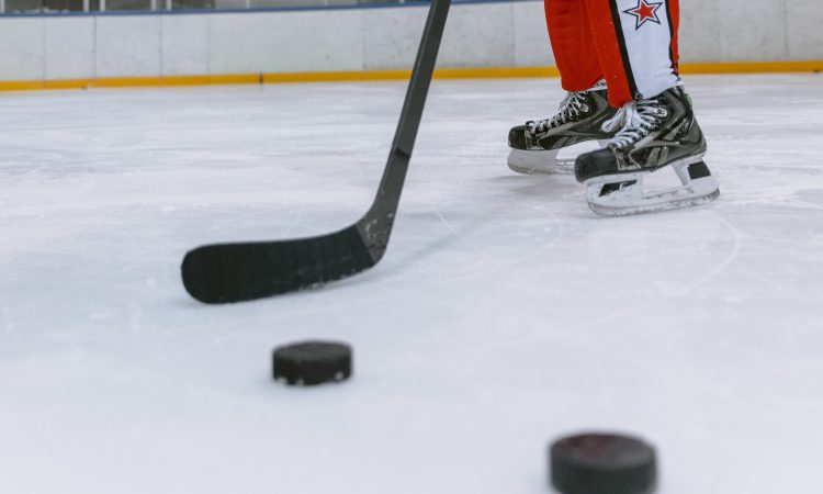 Kralji rešili točko proti zadnjeuvrščeni Ottawi