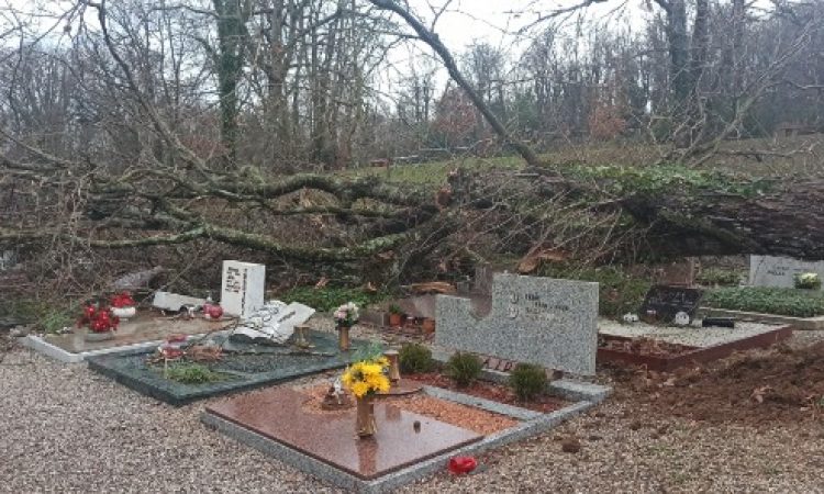 Na Goriškem številne težave zaradi močne burje