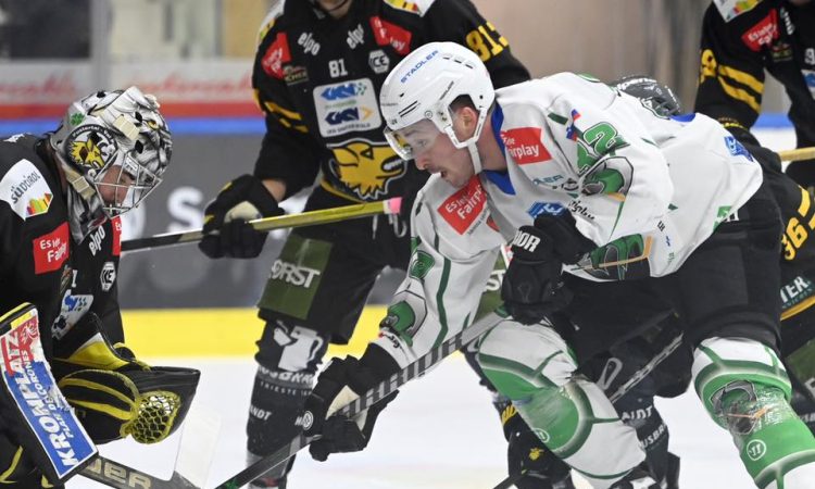 Hokejisti iz Gradca zadnji udeleženci kvalifikacij za končnico lige ICEHL