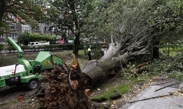 Streha OŠ Šmarje pri Kopru je popravljena