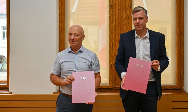 Nova južna zbirna cesta bo povezala Šmihel in Belokranjsko cesto