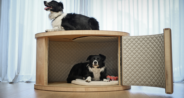 DesignEuropa Awards 2026: Med finalisti tudi slovenski Pet Shell